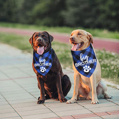 JOTFA pregnancy-announcement bandana pet usage for cute moments.