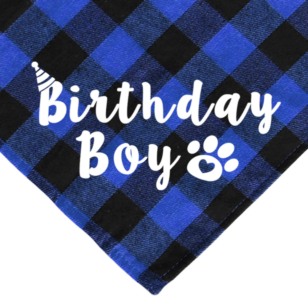 JOTFA shiny birthday numbers enhance milestone photos for pets.