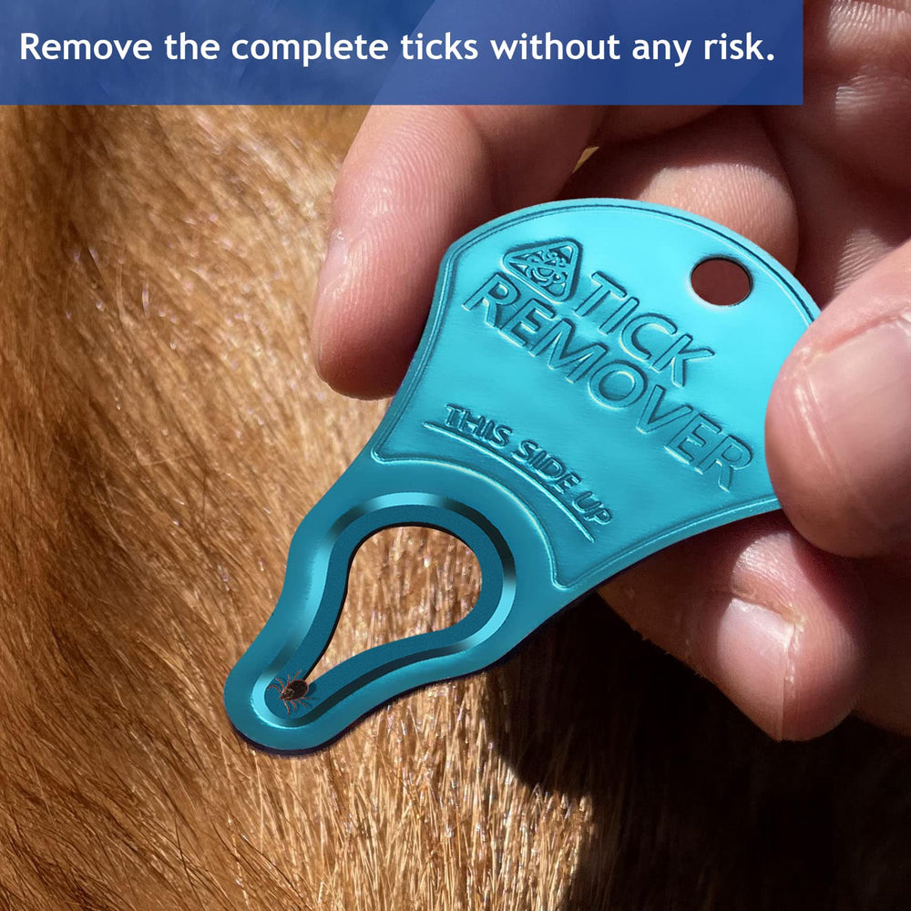 JOTOVO tick remover outdoor essentials kit ready for campsite use