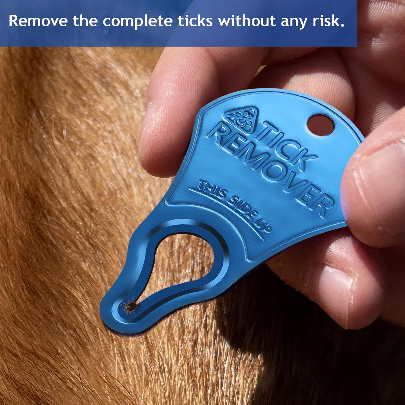 JOTOVO tick remover tool fast-painless-removal offers quick relief after tick exposure.