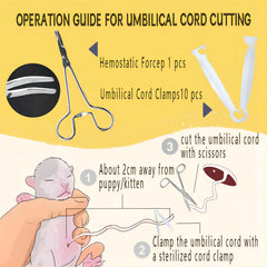 JounLoin expandable collars for puppies and kittens aid newborn identification during whelping