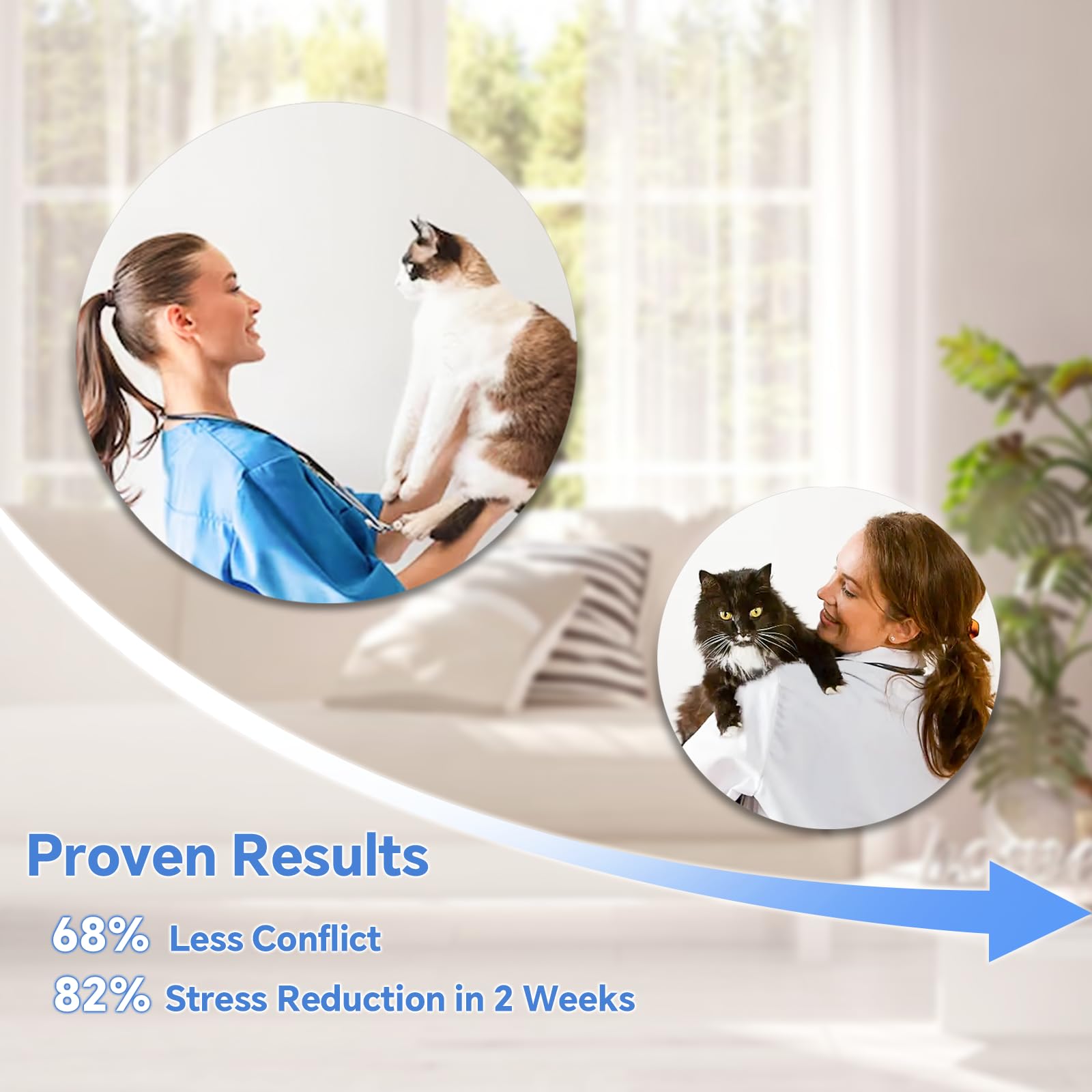 Journeward calming collar adjustable strap demonstrates fit for kittens to large cats.