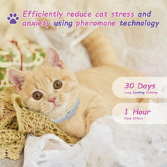 Journeward calming collar on cat neck demonstrates adjustable fit for all indoor cats.