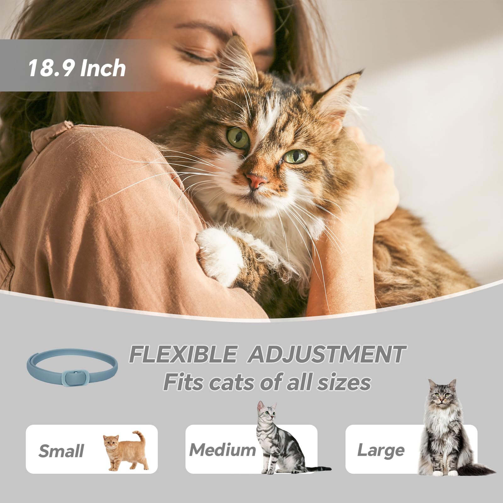 Journeward calming collar outdoors use illustrates suitability for indoor and outdoor activity.