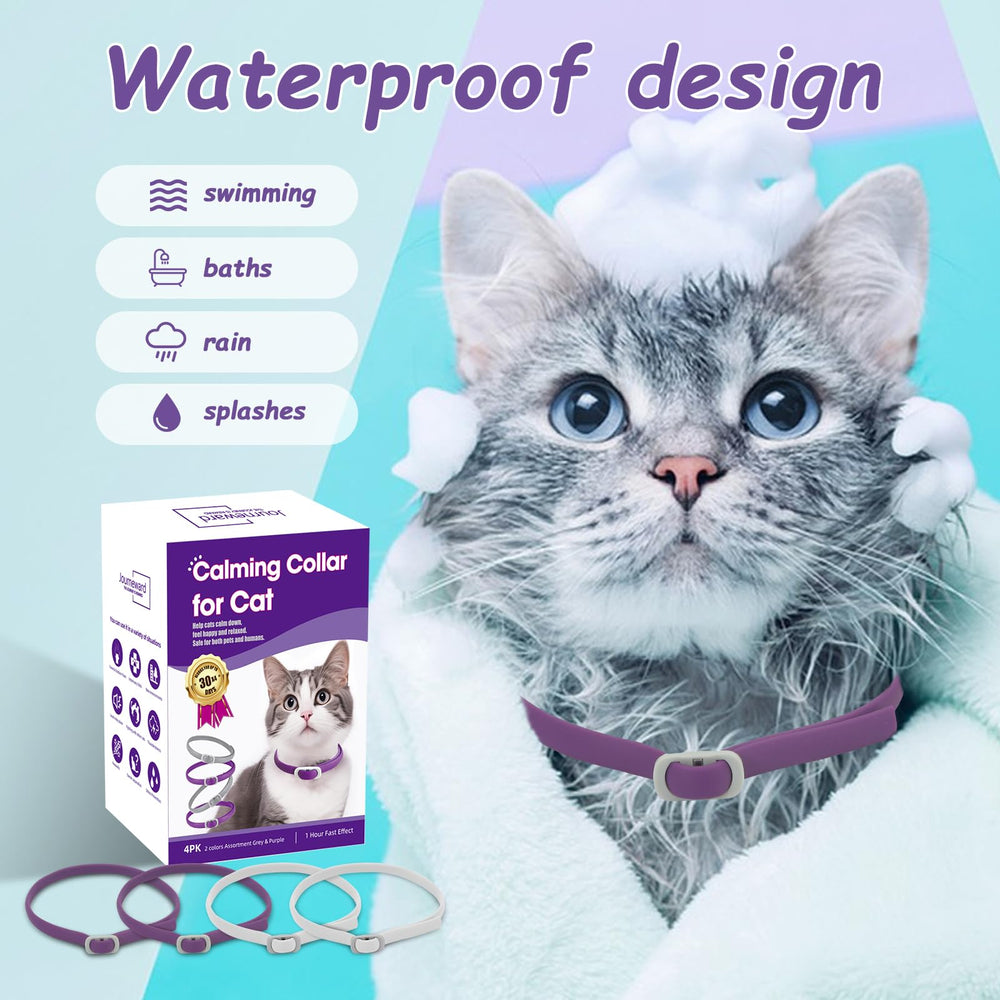 Journeward calming collar in home setting supports adaptation to changes with less stress.