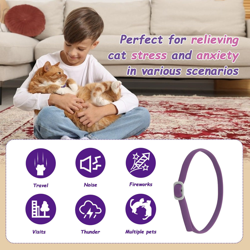Journeward pheromone technology highlights relaxed posture for calmer, stress-free cats.