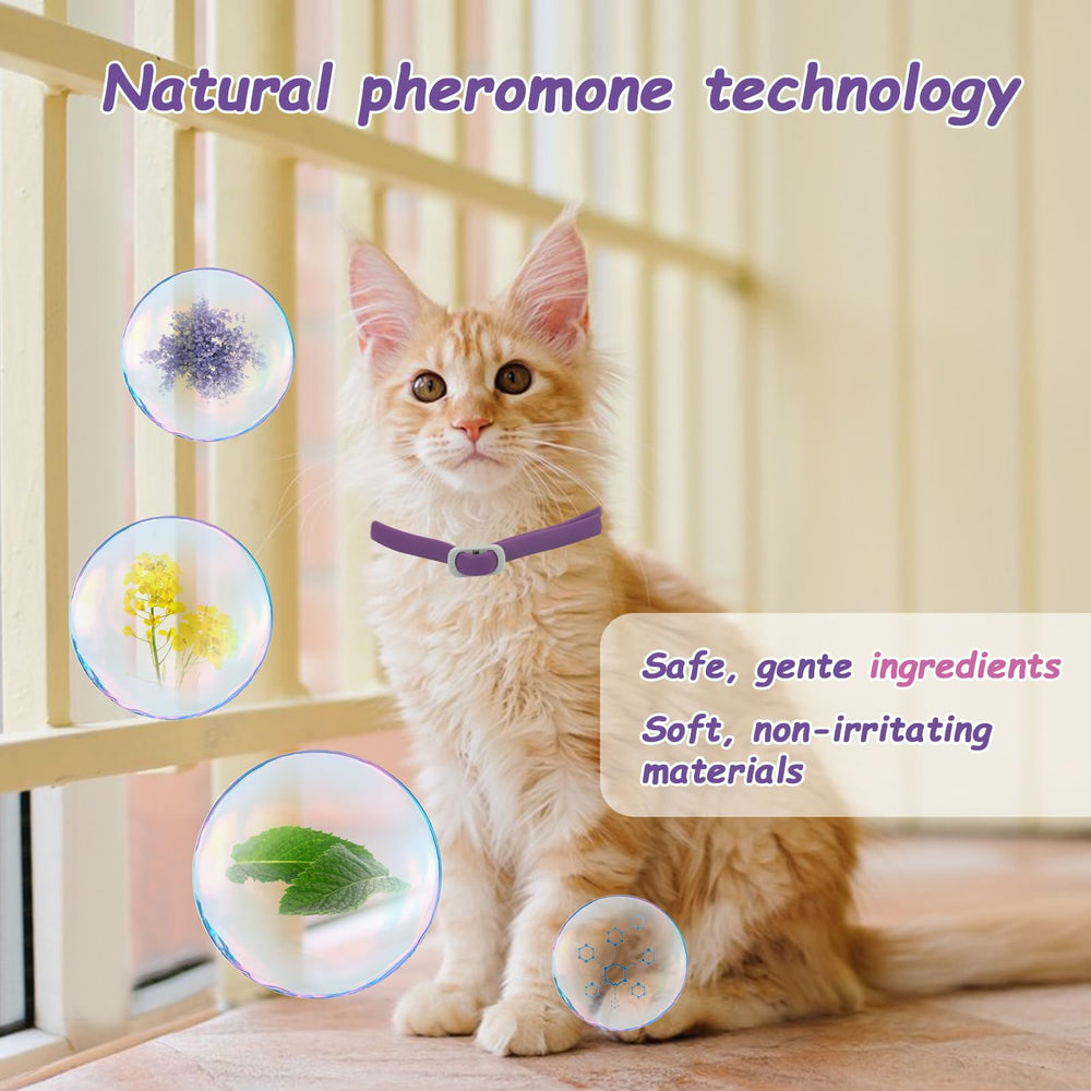 Journeward soft silicone collar provides gentle wear and everyday comfort.