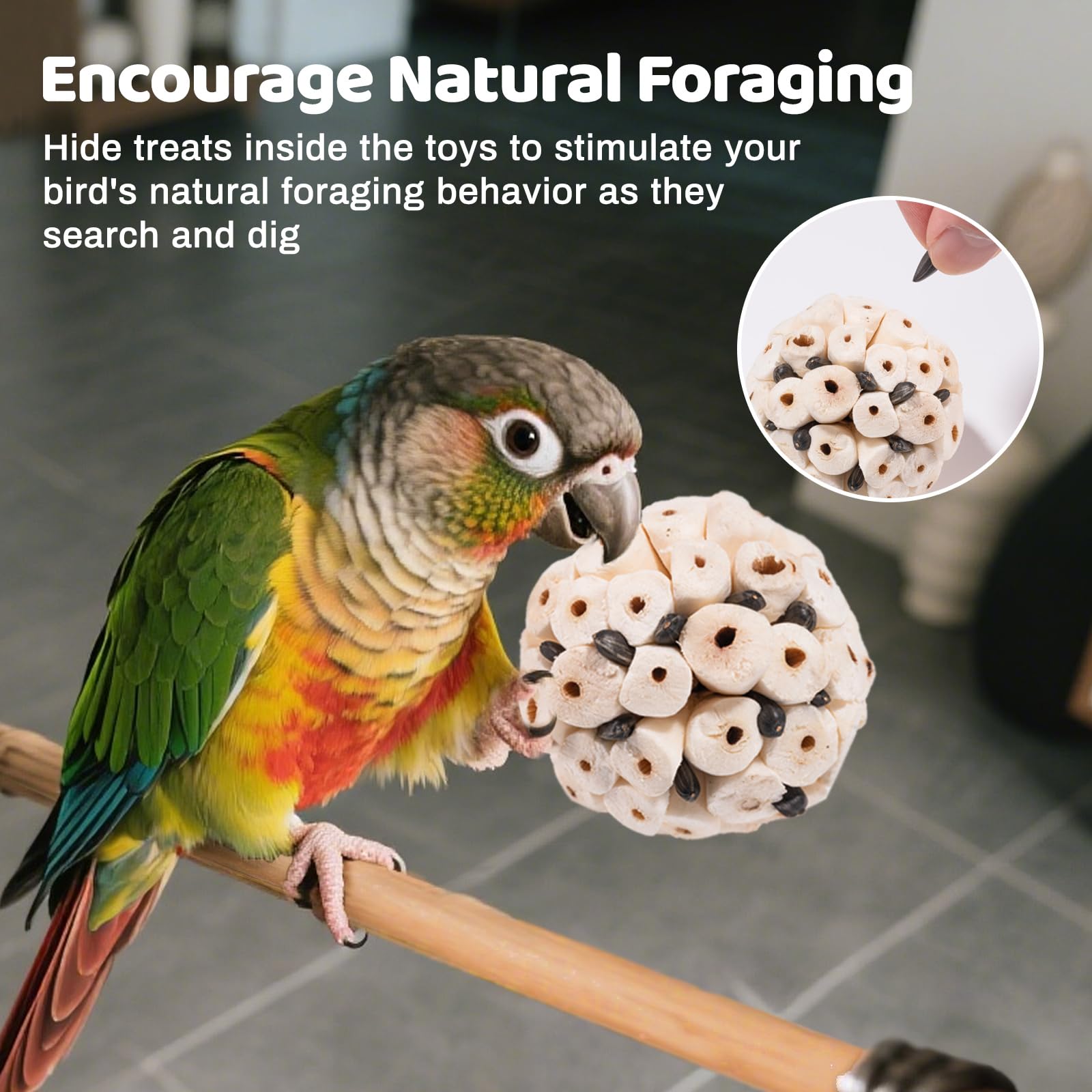 JOUSONTY loofah slices image emphasizes beak and claw cleaning during play.