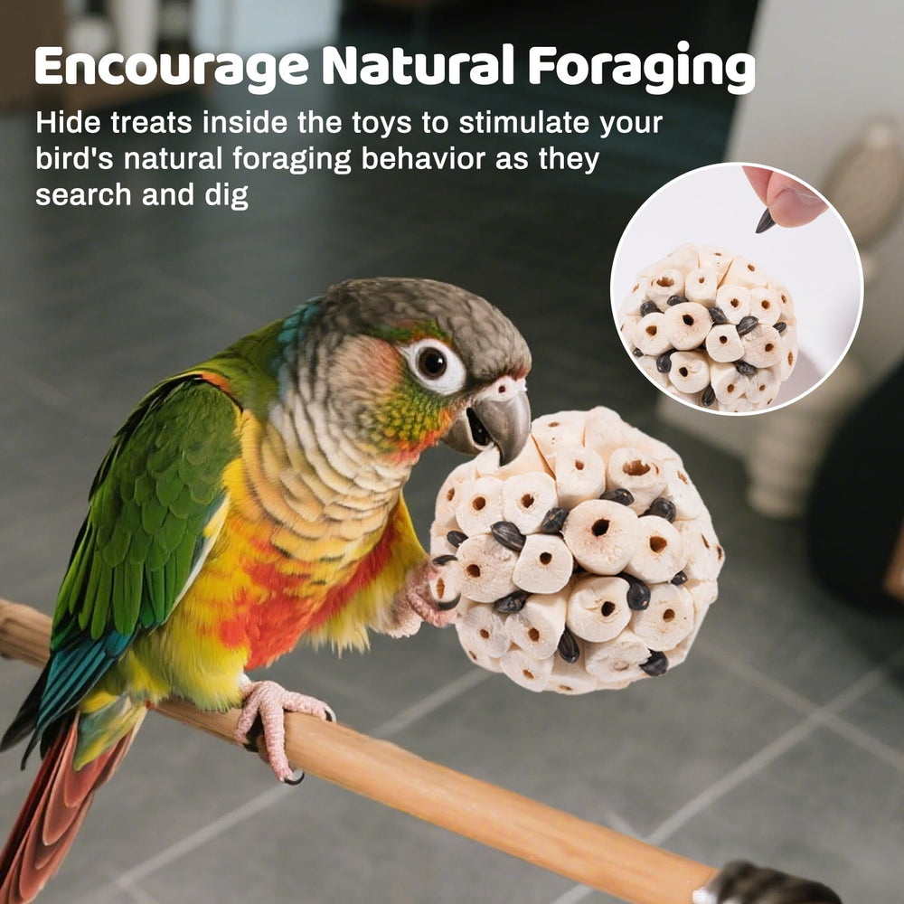 JOUSONTY loofah slices image emphasizes beak and claw cleaning during play.
