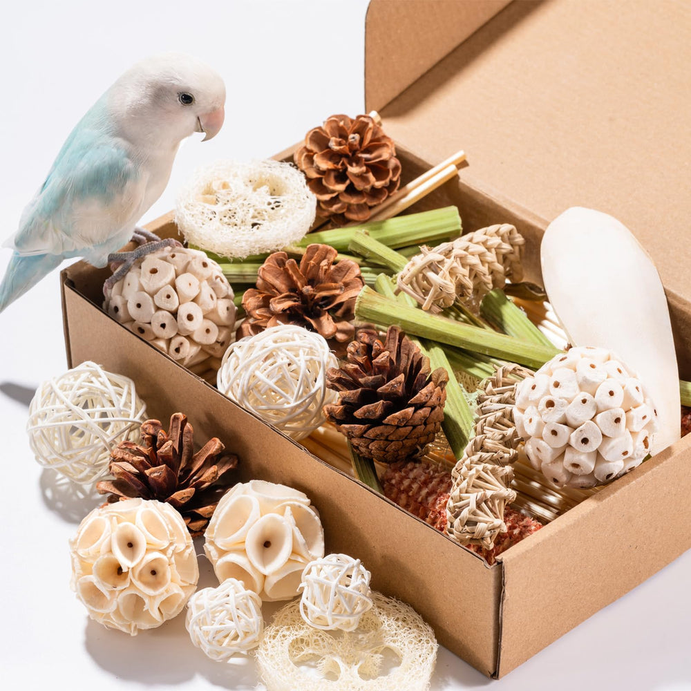 JOUSONTY bird toys natural-materials closeup showing enrichment textures for small parrots.