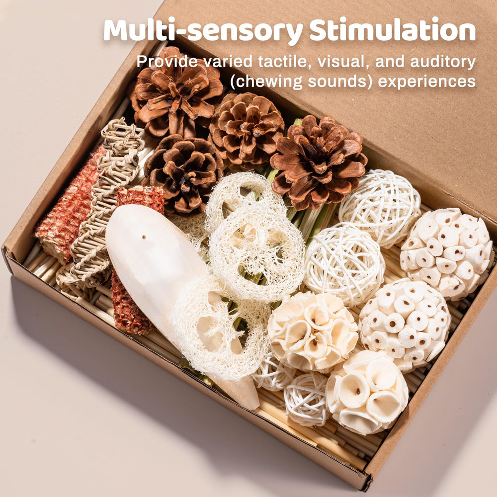 JOUSONTY small-medium birds toys image showcases cockatiels, lovebirds, and budgies suitability.