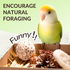 JOUSONTY multi-sensory toy sounds image captures varied tactile and auditory play.