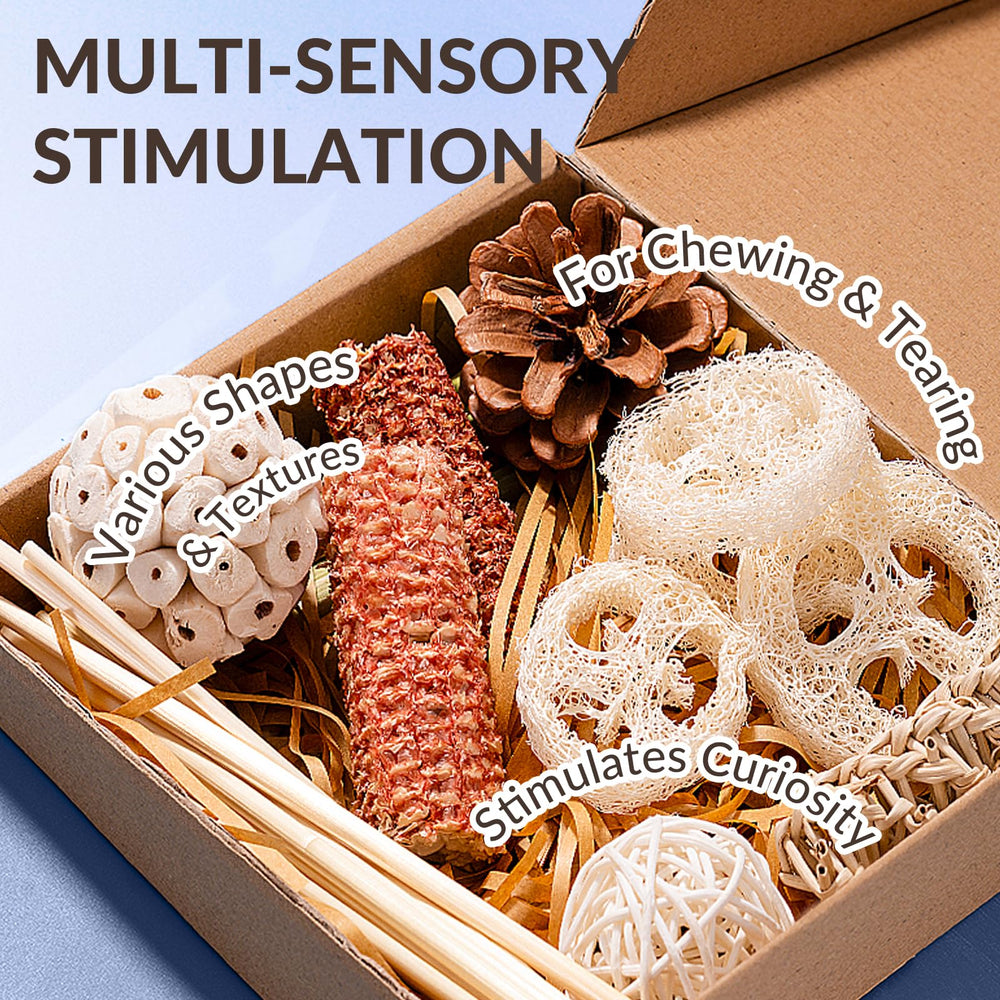 JOUSONTY small to medium bird toys assembly presents versatile cage enrichment options.