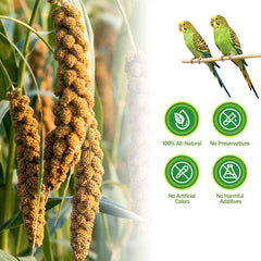 JOUSONTY spray millet highlighting nutrition and energy for feather health.