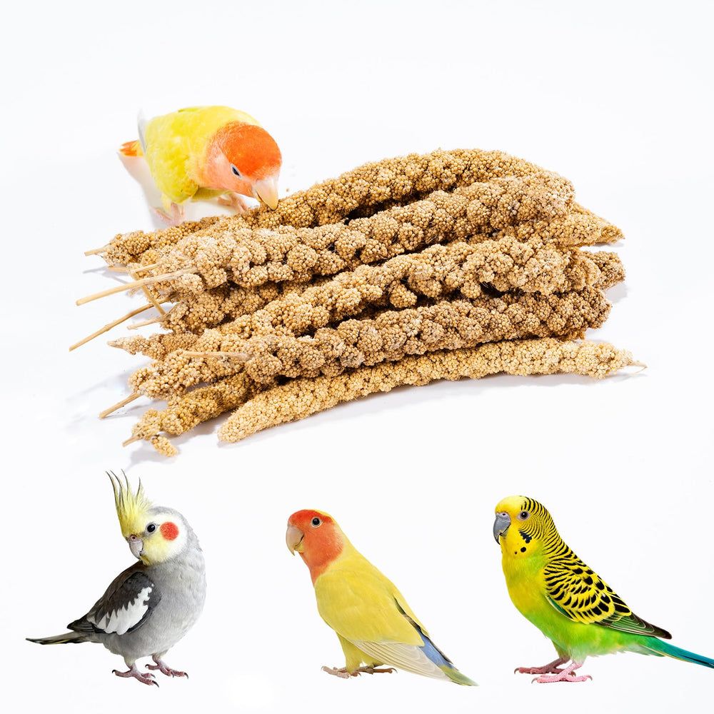 JOUSONTY spray millet package—vacuum-sealed for freshness and secure storage.