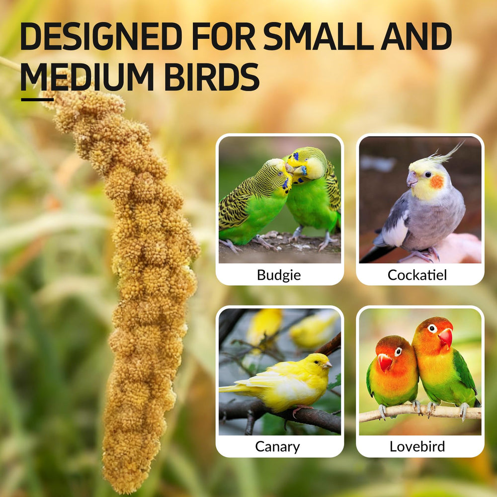 JOUSONTY spray millet suitable for cockatiels, parakeets, budgies, and canaries.