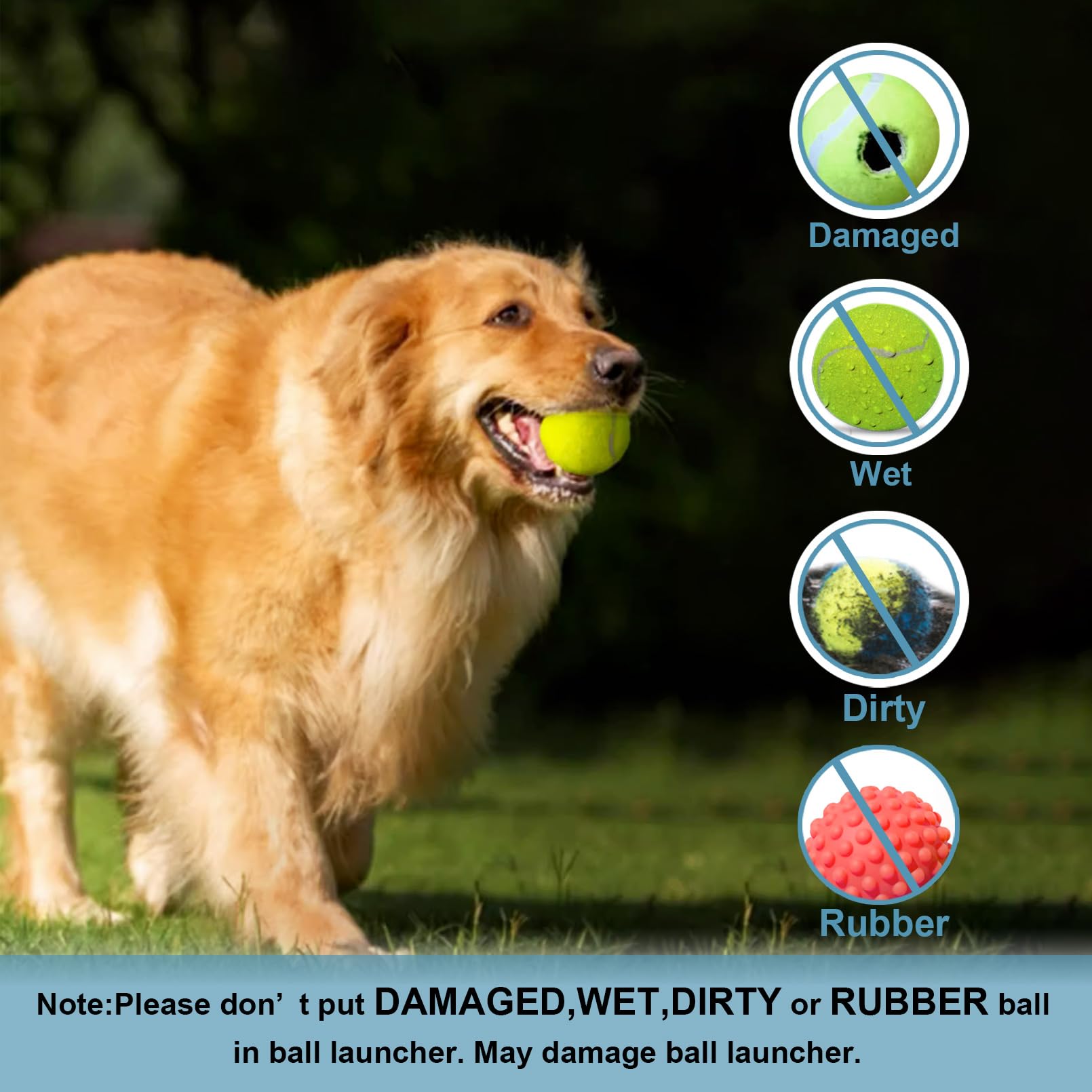 Jovani durable materials indicate lasting use with pets.
