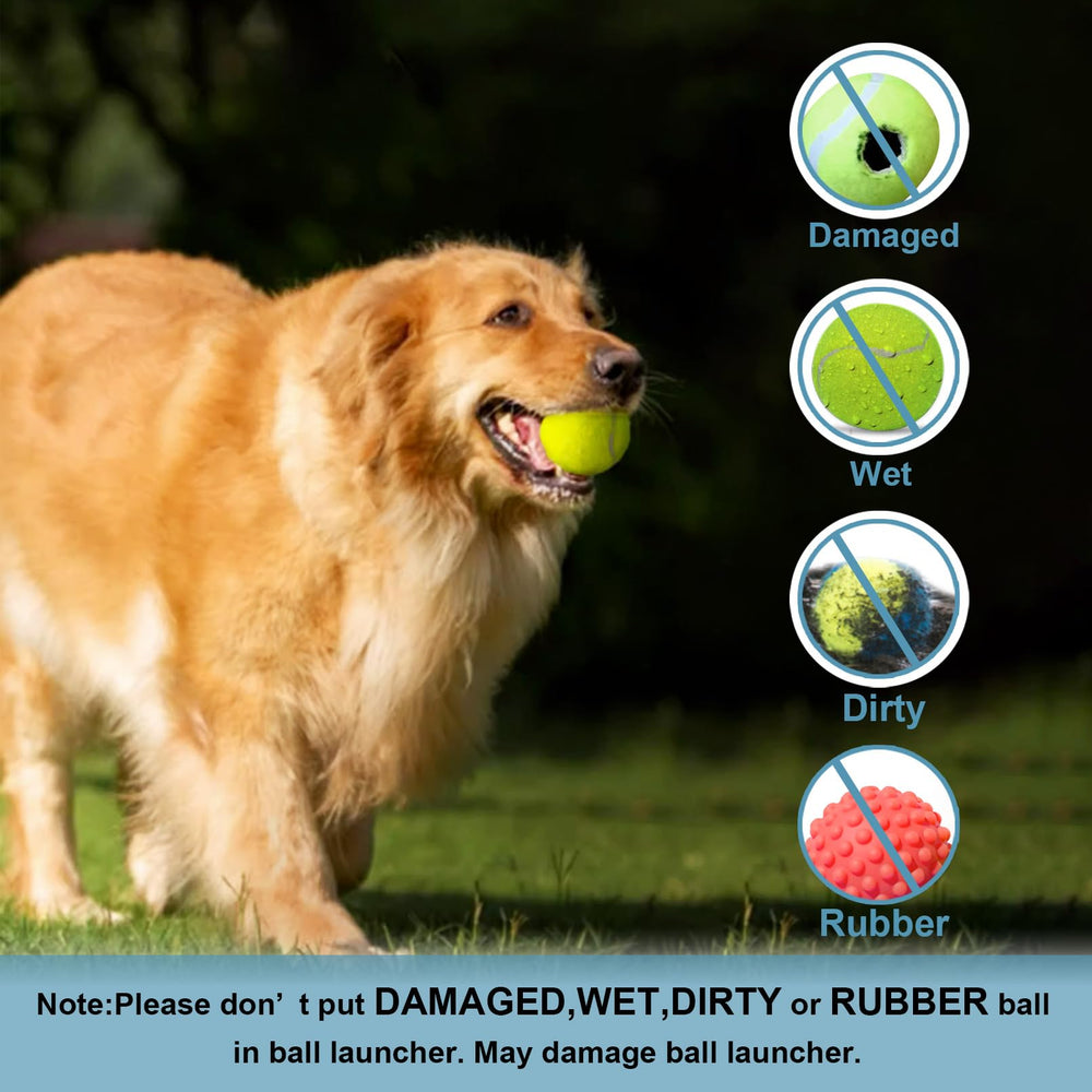 Jovani durable materials indicate lasting use with pets.