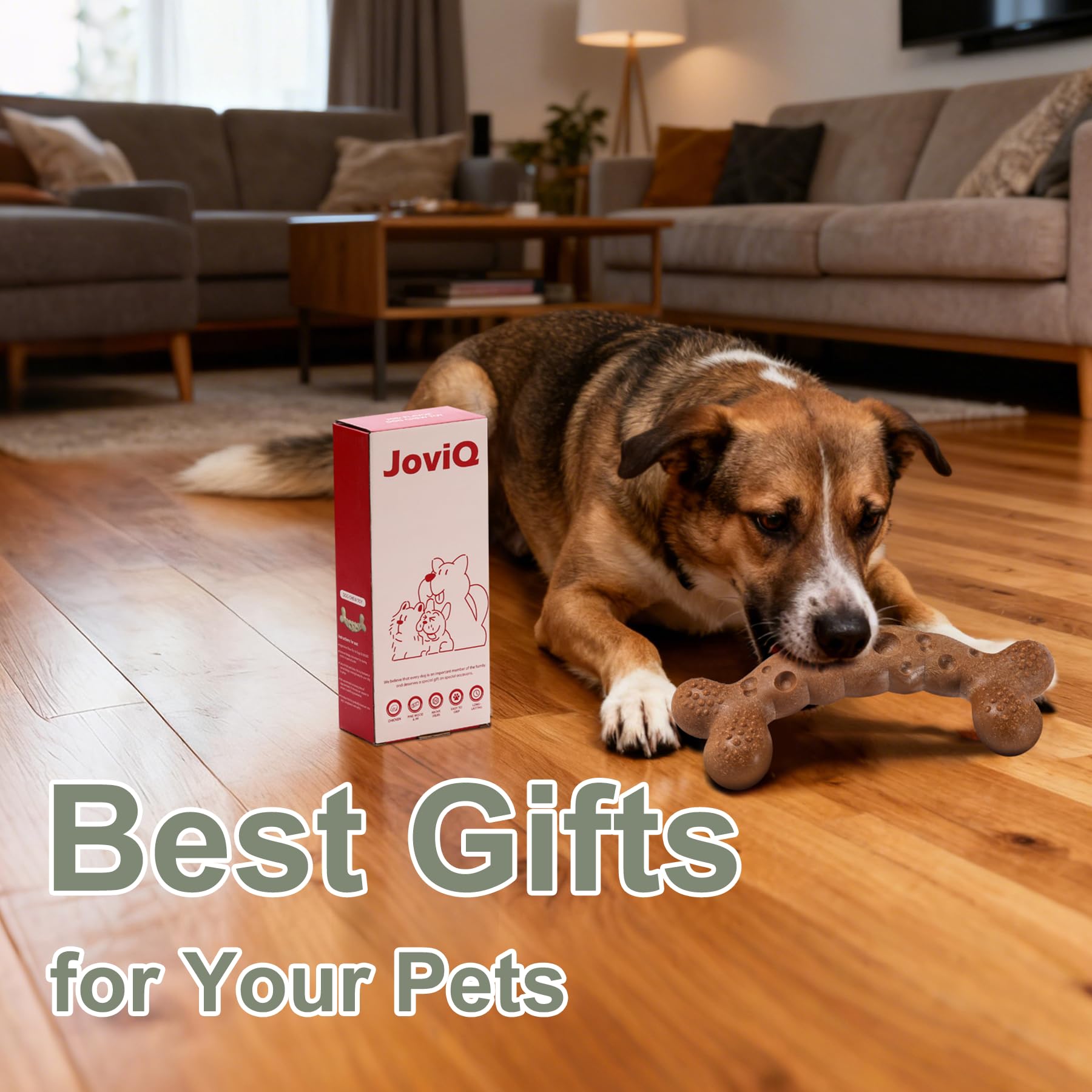 JoviQ Juguete regalo para perros, una opción atractiva para ocasiones especiales.