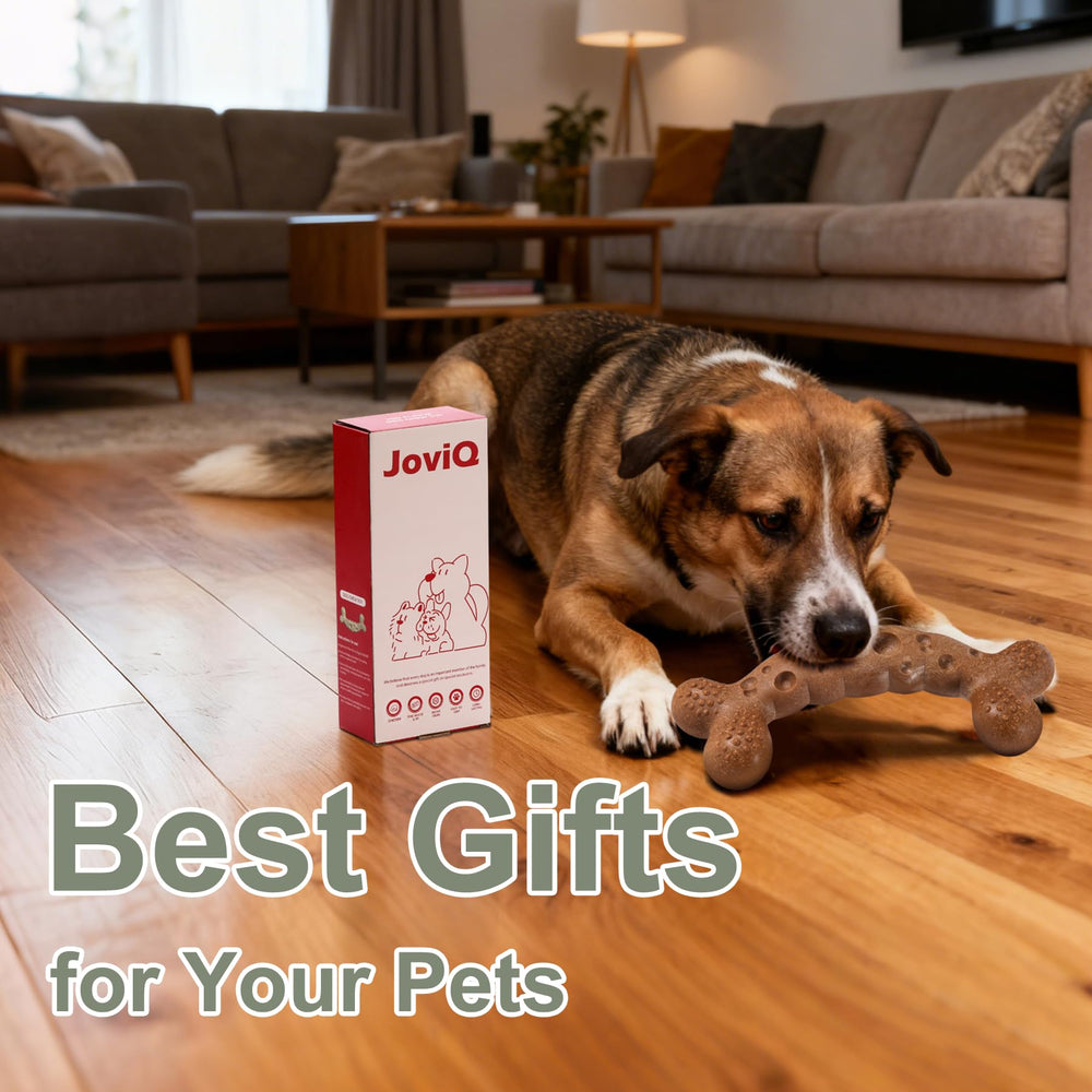 JoviQ Juguete regalo para perros, una opción atractiva para ocasiones especiales.