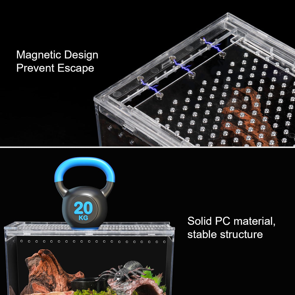 JoviQ feeding bowl and tweezers setup supports easy feeding routines.