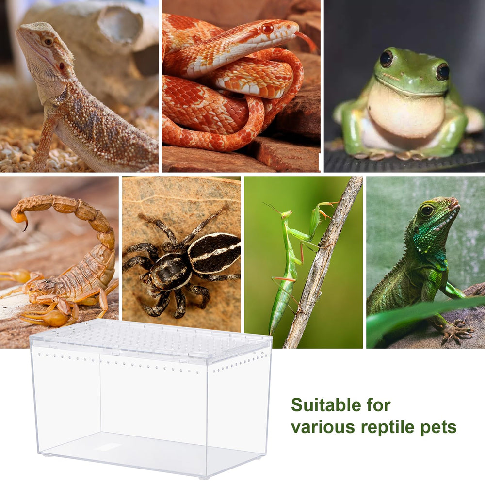 JoviQ reptile terrarium adaptable for desert or rainforest setups.