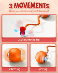 Jovrun cat toy butterfly tail in action sparks curiosity.