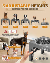 Jovrun elevated dog bowls five-height stand shows growing dog comfort