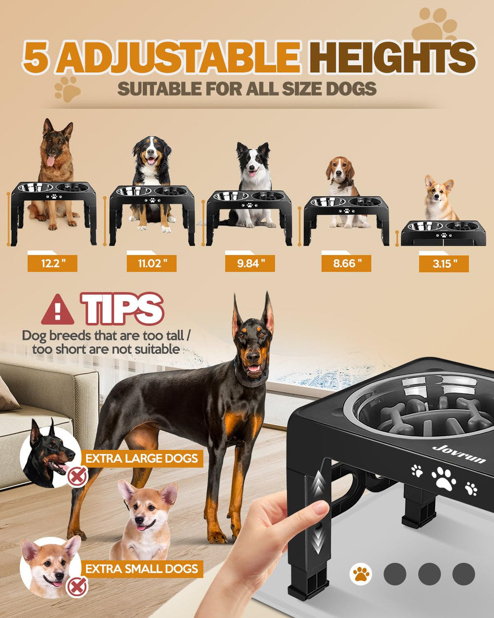 Jovrun elevated dog bowls stainless bowls ready for easy cleaning and daily meals