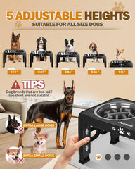Jovrun elevated dog bowls stainless bowls ready for easy cleaning and daily meals