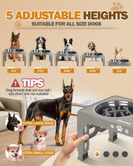 Jovrun stainless steel dishes inside elevated bowls support easy cleaning