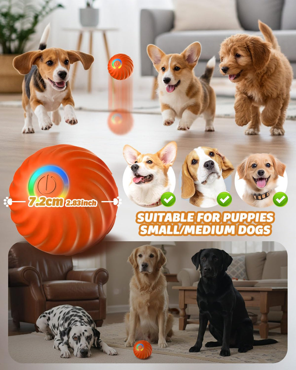Jovrun fruity plush cover attracts dogs for interactive games.