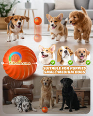 Jovrun fruity plush cover attracts dogs for interactive games.