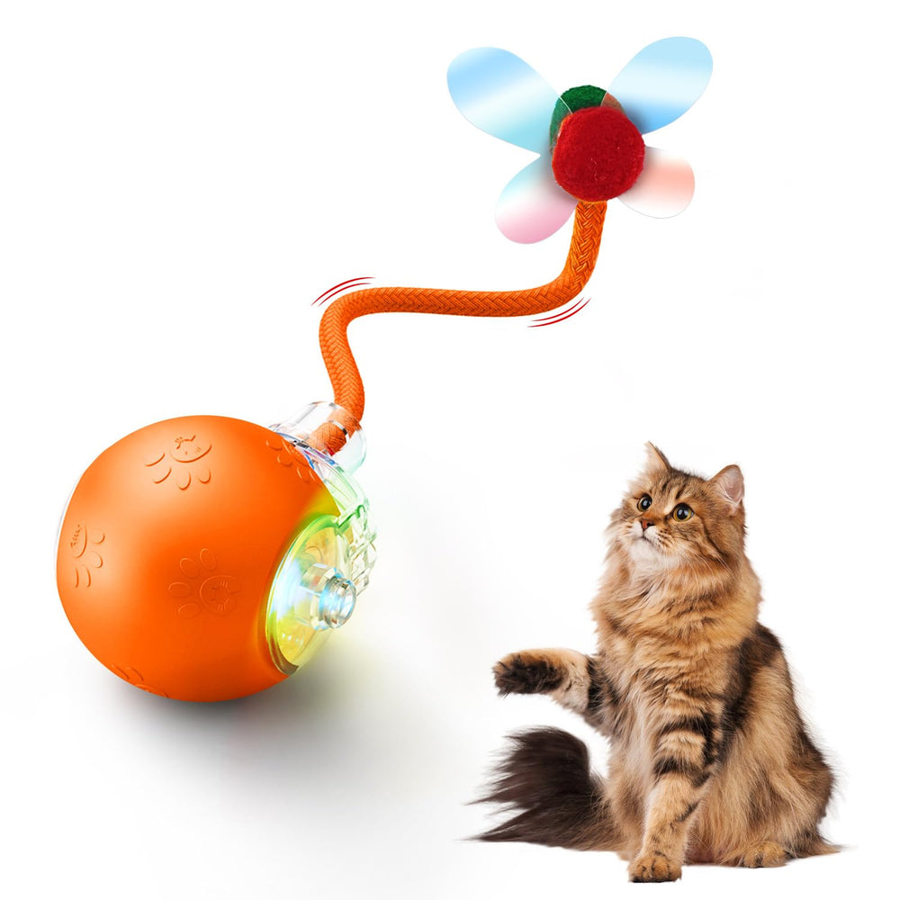 Jovrun interactive cat toy orange ball shows 360-degree movement for indoors.