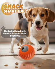 Jovrun motion-activated toy responds to paw taps for endless fun.