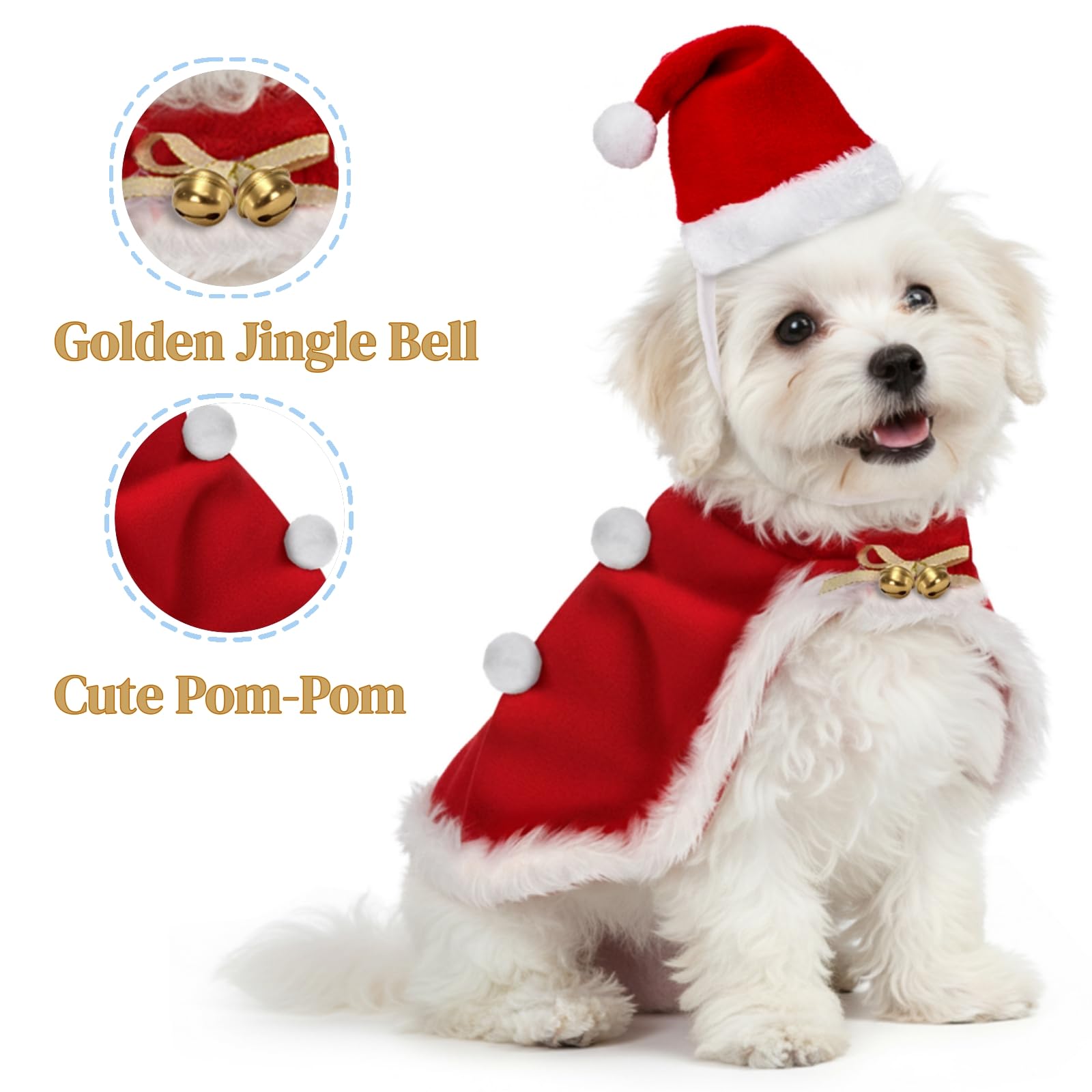 Jowgut cat red cloak emphasizes festive warmth and charm.