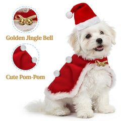 Jowgut cat red cloak emphasizes festive warmth and charm.