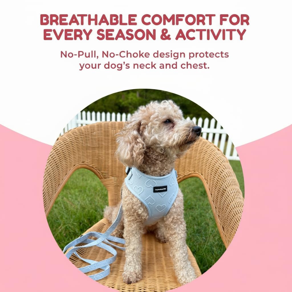 JoyCrafted-FBL harness blue XXS adjustable straps aid secure fit.