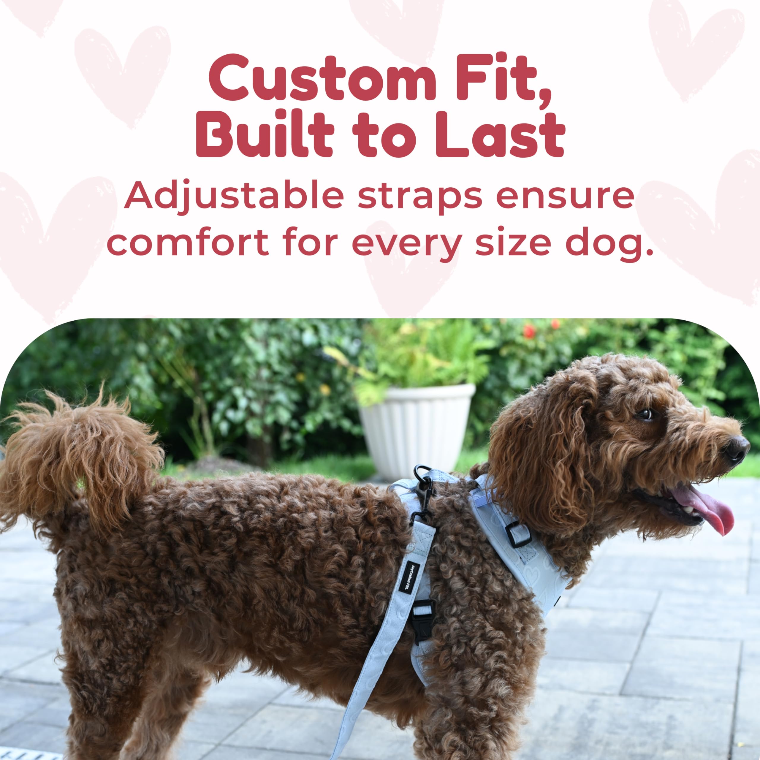 JoyCrafted-FBL harness blue XXS being worn during a calm walk.