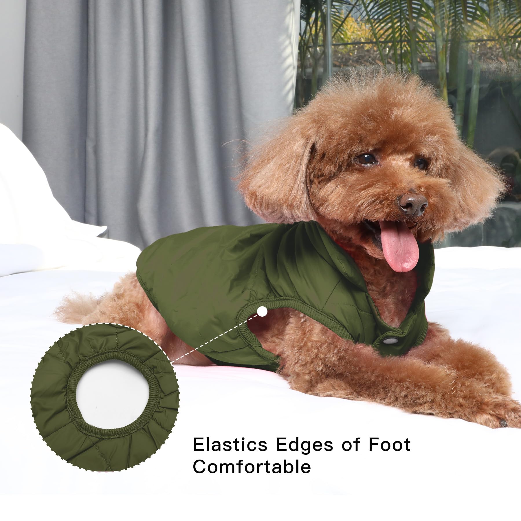 JoyDaog elastic edges focus on snug fit around paws and waist