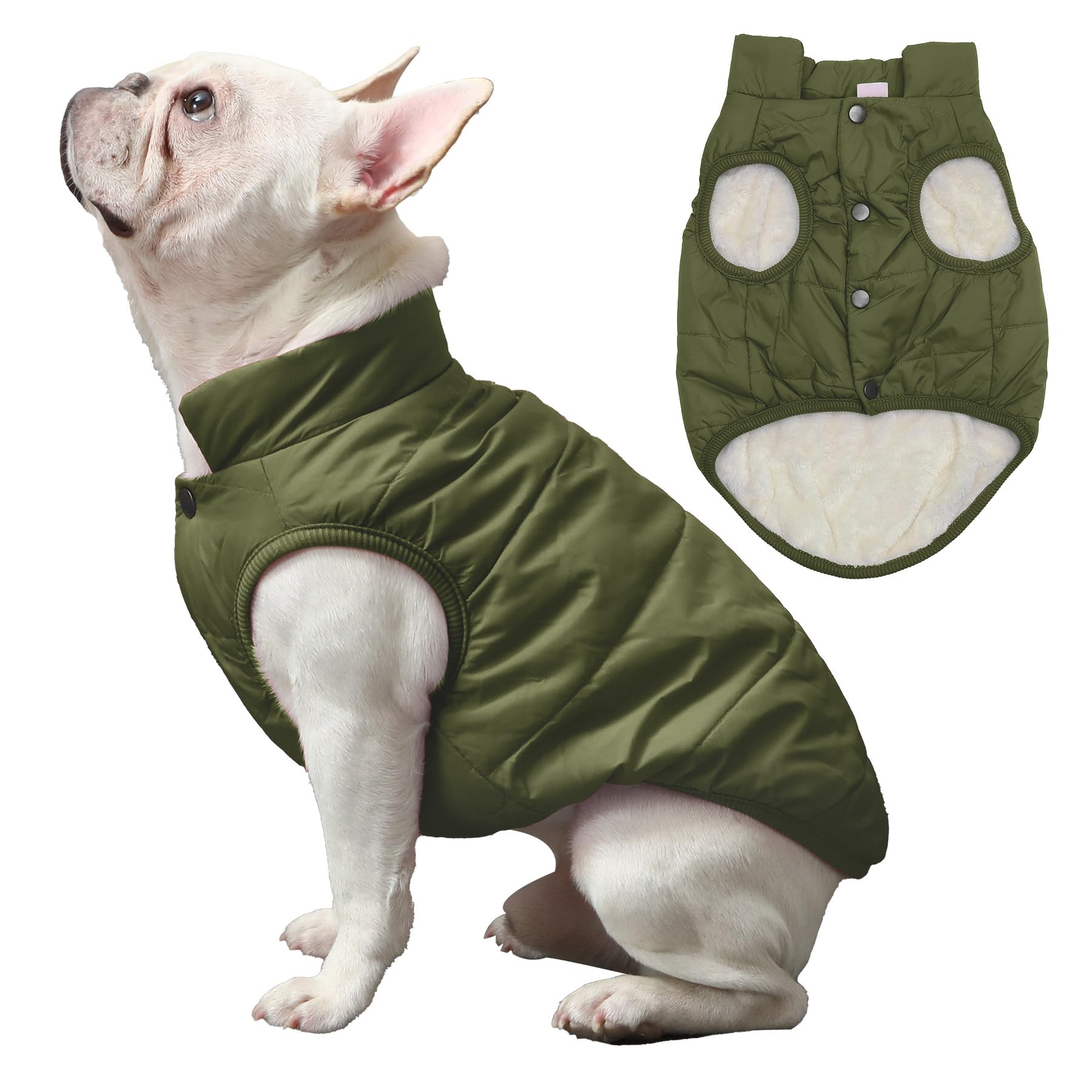 JoyDaog dog jacket side view highlights windproof soft layer for cold days