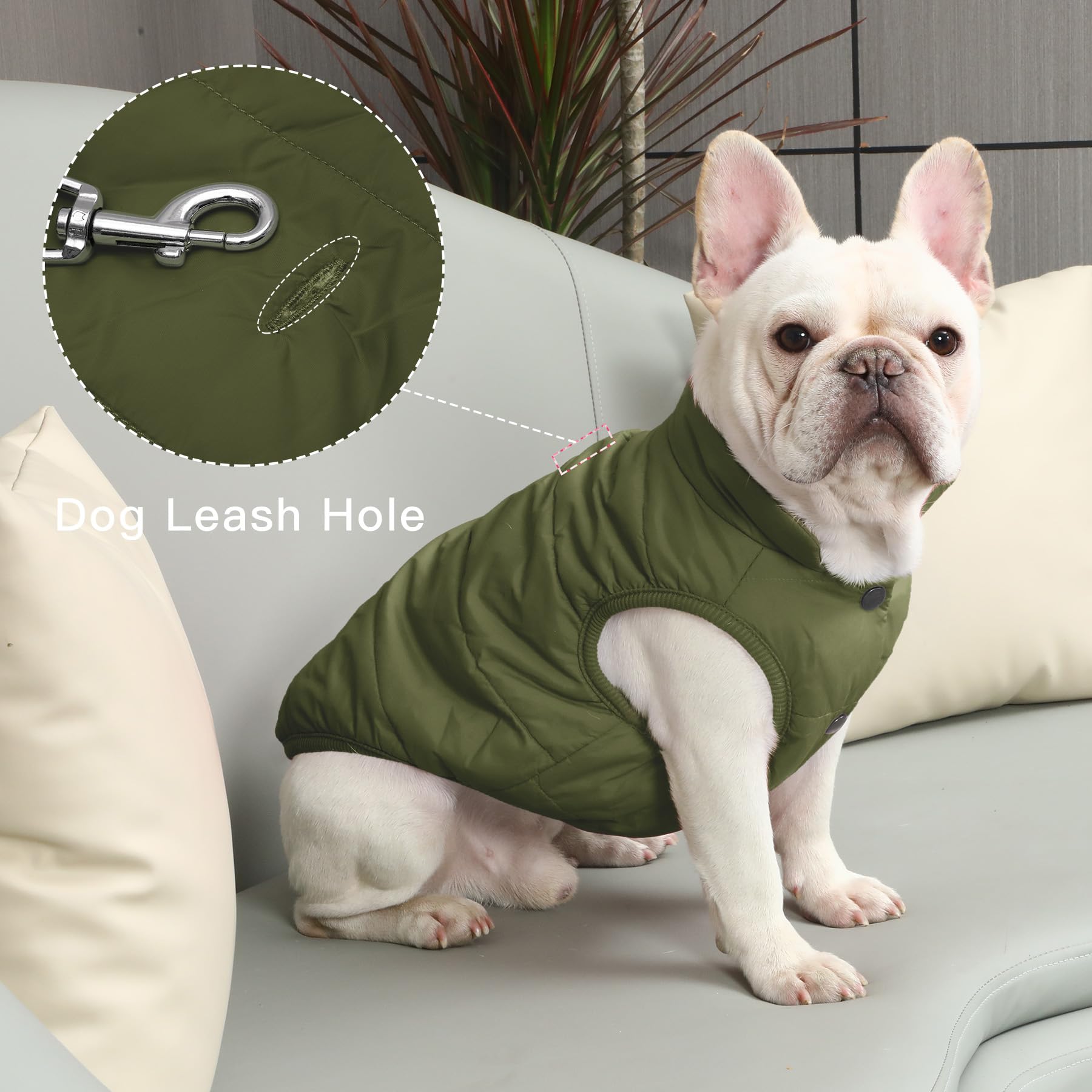 JoyDaog snap-closure close-up shows secure easy-on design for quick dressing