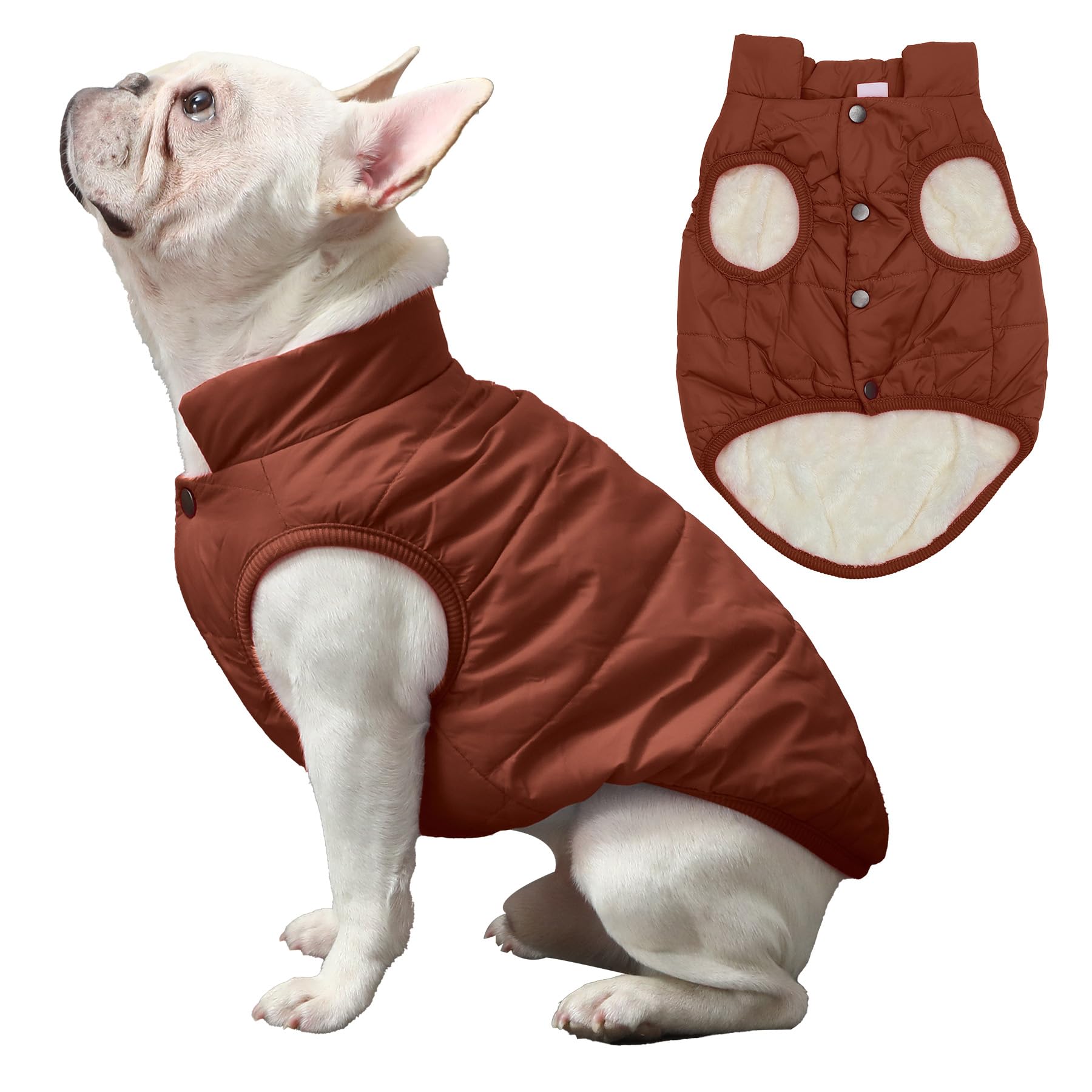 JoyDaog 2Layers fleece-lined winter dog jacket back view shows coverage