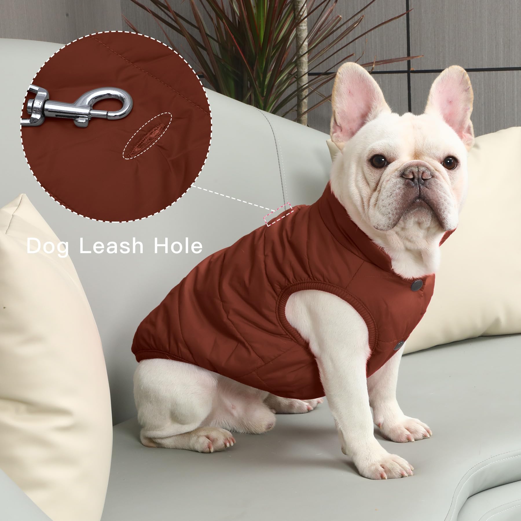 JoyDaog 2Layers fleece-lined winter dog jacket brown color option