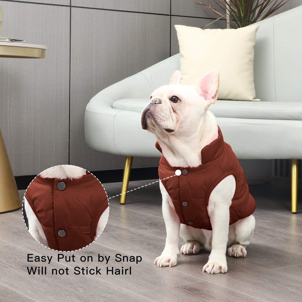 JoyDaog 2Layers fleece-lined winter dog jacket elastic edges for secure fit