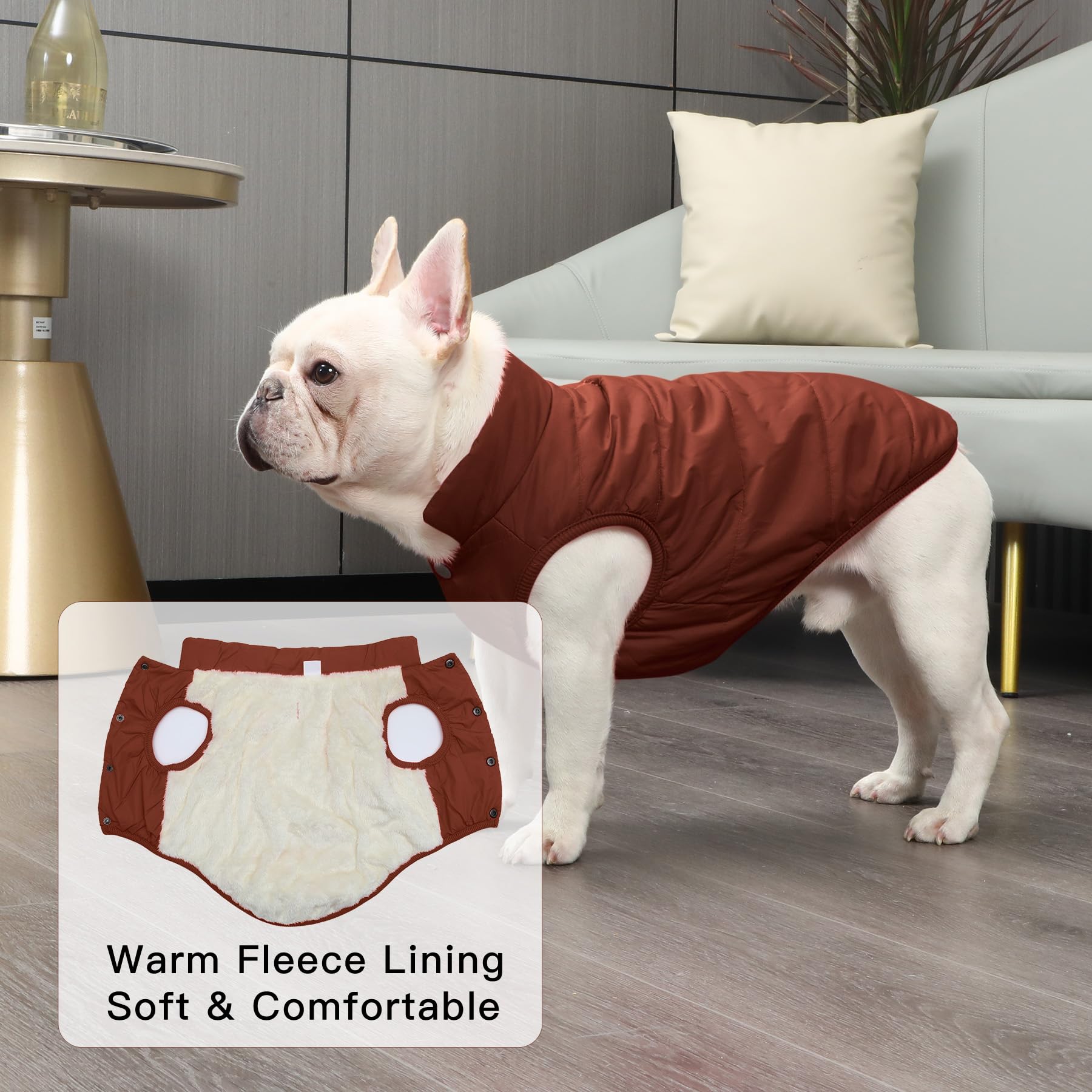 JoyDaog 2Layers fleece-lined winter dog jacket leash hole for easy walks