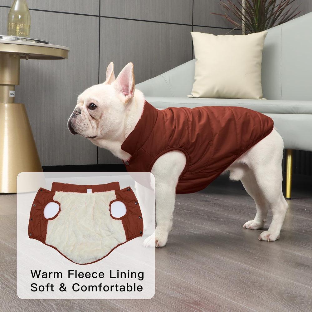JoyDaog 2Layers fleece-lined winter dog jacket leash hole for easy walks