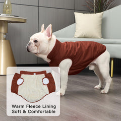 JoyDaog 2Layers fleece-lined winter dog jacket leash hole for easy walks