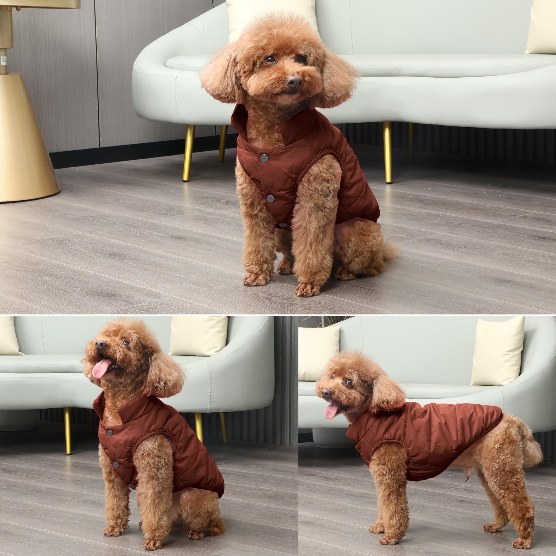JoyDaog 2Layers fleece-lined winter dog jacket worn by puppy outdoors