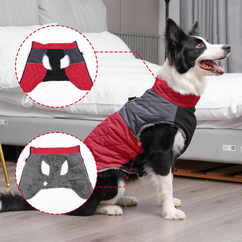 JoyDaog abdominal elastic design offers comfortable fit around the tummy.